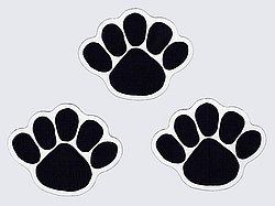 Penn State Car Magnet Small Paw Set - 2.5" x 3"