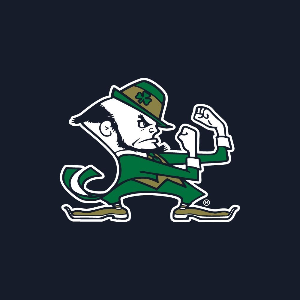 Notre Dame Fighting Irish Swim Trunks AP003415443