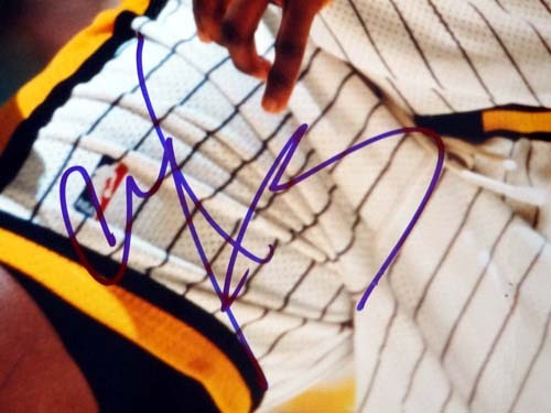 Al Harrington Autographed 16X20 Photo Indiana Pacers PSA/DNA Image a
