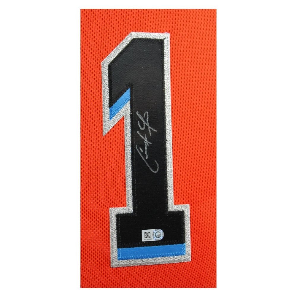 Christian Yelich Autographed Signed Miami Marlins Deluxe Framed Jersey - MLB Authentic Image a