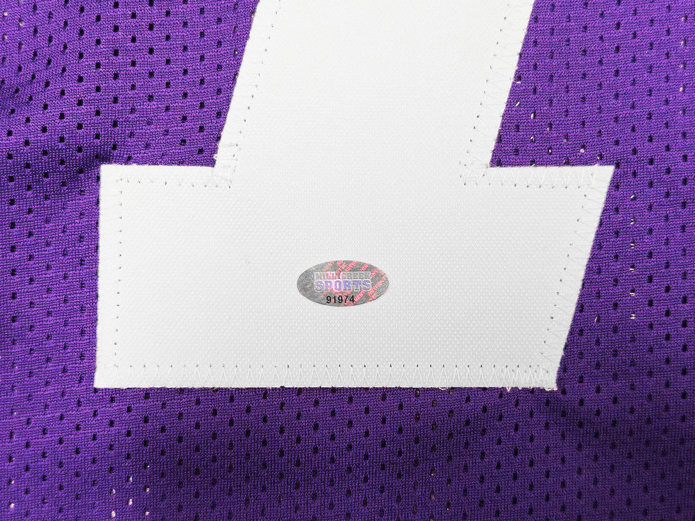 Washington Huskies Dillon Johnson Autographed Purple Jersey Mcs Holo #222081 Image a