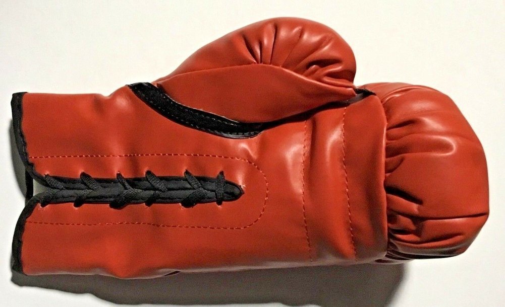 Foreman Autographed Signed Red Everlast Boxing Glove Mint