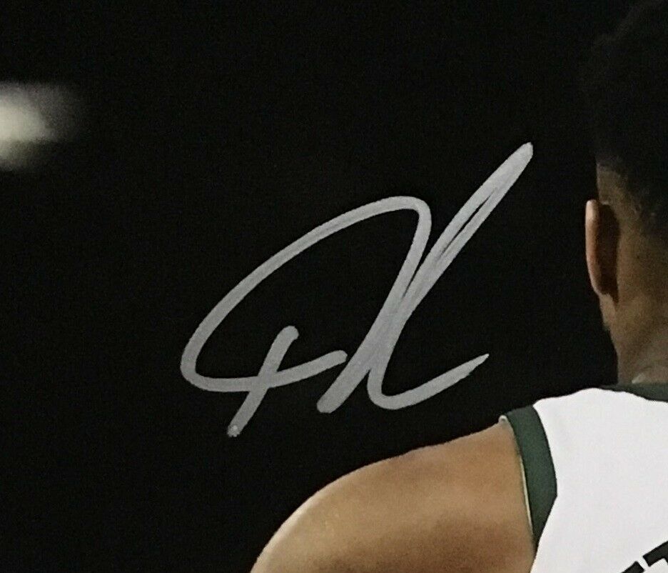 Giannis Antetokounmpo Autographed Signed Bucks 11X14 Photo Autograph