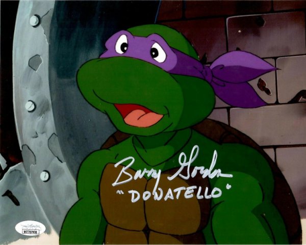 Teenage Mutant Ninja Turtles (1987-1996)