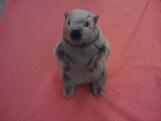 Douglas Company, Inc. Mr. G Groundhog Plush-: 7 inch 48518728352029 (Douglas Company, Inc.)
