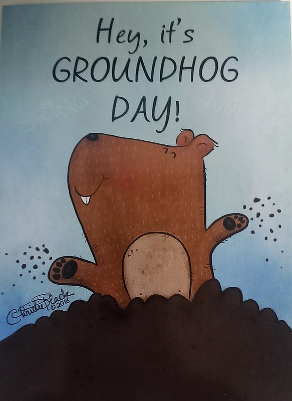 Greeting Card Universe Are you digging Ghog Day Card-1510094 48518846447901 (Greeting Card Universe)