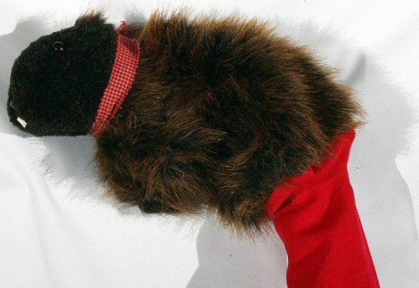 Groundhog Golf Club Driver Cover Sku# 63 