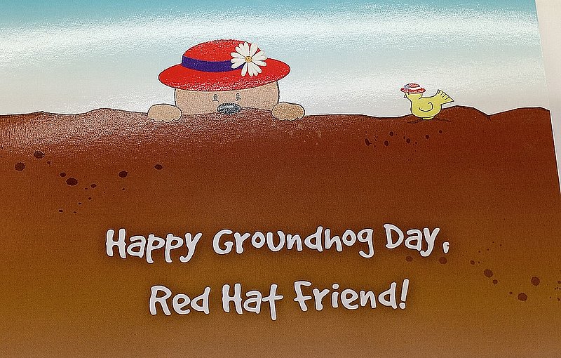 Groundhog Red Hat Card