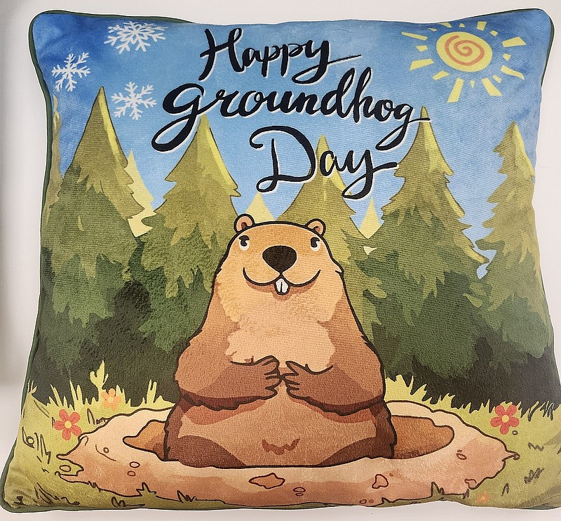 *Happy Groundhog Day Pillow Covers 48518884229405 