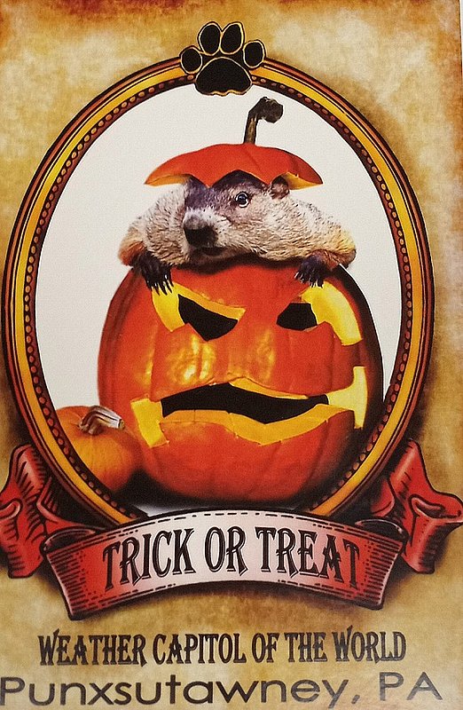 Post Card- Happy Halloween sku#2574 