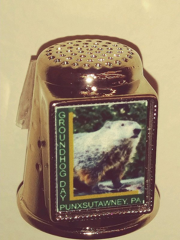 Smart Charms Groundhog Souvenir Thimble 48518813188381 (Smart Charms)