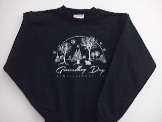 Standard Pennant, Co., Inc. Adult sparkle ghog sweatshirt2X-Black : 2X 48518781894941 (Standard Pennant, Co., Inc.)
