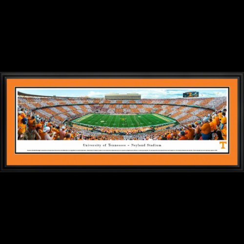 Licensed Framed Photos