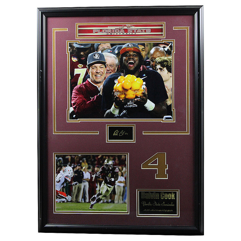 Licensed Framed Photos