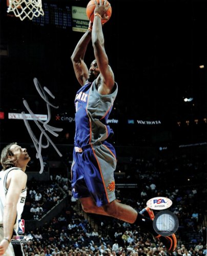 amare stoudemire dunk