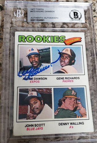 Andre Dawson Autographed Memorabilia Signed Photo Jersey 