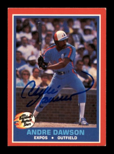Andre Dawson Montreal Expos Nameplate For A Baseball Jersey 1.5" X  8"