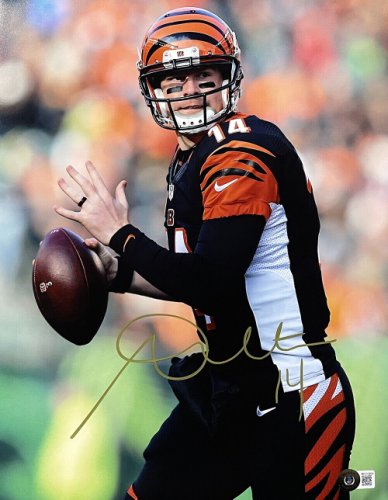 Andy Dalton Autographed Signed Cincinnati Bengals 11X14 Photo Beckett