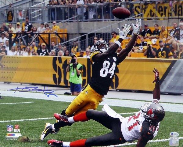 Antonio Brown One Hand Catch Bumble Bee Unsigned 16x20 Photo