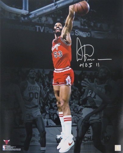 Artis Gilmore Autographed Signed Chicago Bulls Slam Dunk Spotlight Action 16x20 Photo w/HOF'11