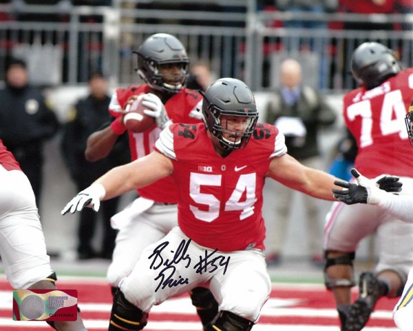 Chris Beanie Wells Arizona Cardinals 16-2 16x20 Autographed Photo -  Certified Authentic