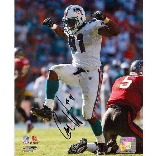 cameron wake authentic jersey