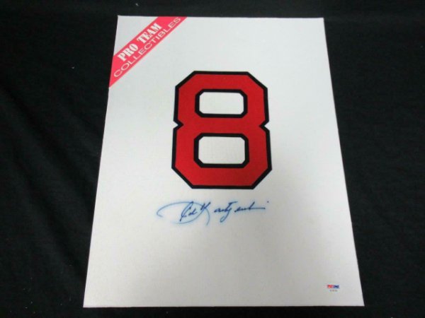 carl yastrzemski signed jersey