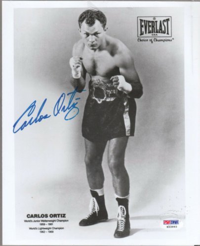 Boxing Autograph Michael Gomez Signed 12x8 inch Colour Photograph JM365
