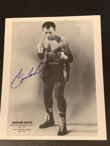 Boxing Autograph Michael Gomez Signed 12x8 inch Colour Photograph JM365
