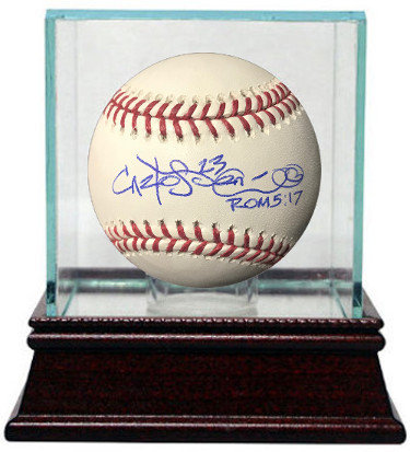tampa bay rays collectibles