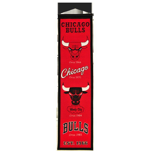 Chicago Bulls Logo Evolution Heritage Banner