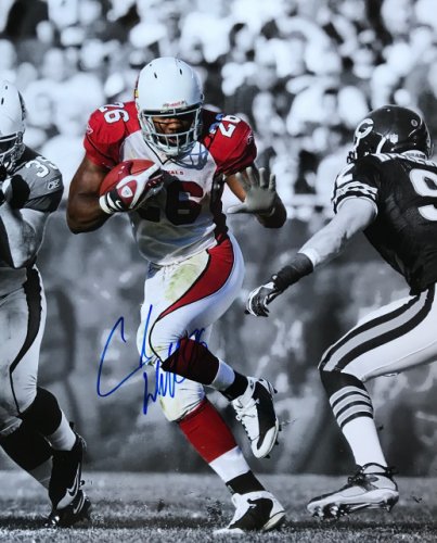 Chris Beanie Wells Arizona Cardinals 16-1 16x20 Autographed Signed Photo - Certified Authentic