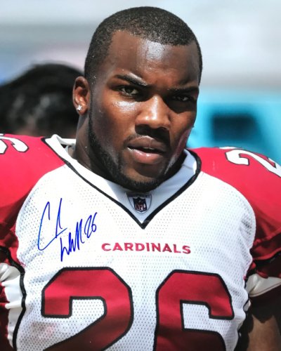 Chris Beanie Wells Arizona Cardinals 16-2 16x20 Autographed Signed Photo - Certified Authentic
