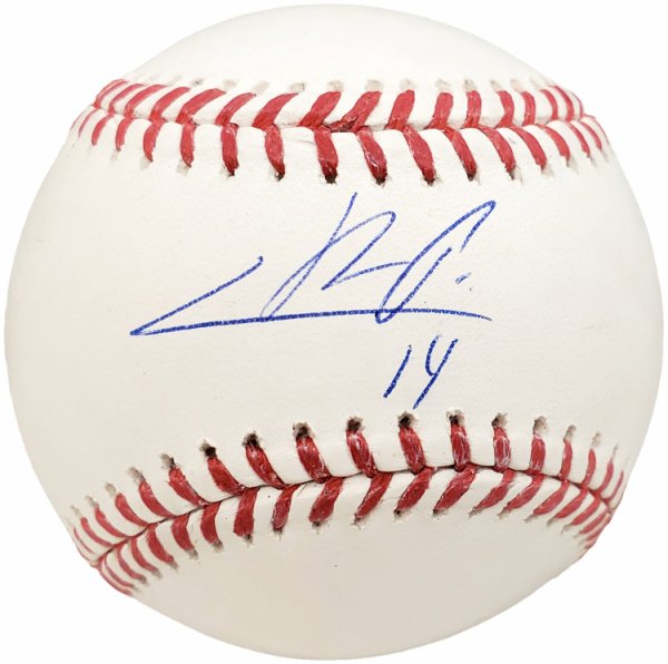 Ronald Acuña Jr Signed Baseball Atlanta Braves JSA Authentication -  Autographed Baseballs at 's Sports Collectibles Store