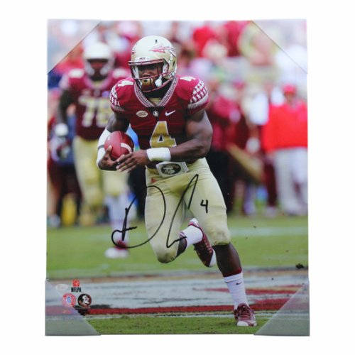 Dalvin Cook Autographed Signed Florida State Seminoles Stretched Running Downfield in Garnet Jersey 20x24 Canvas - JSA Authentic