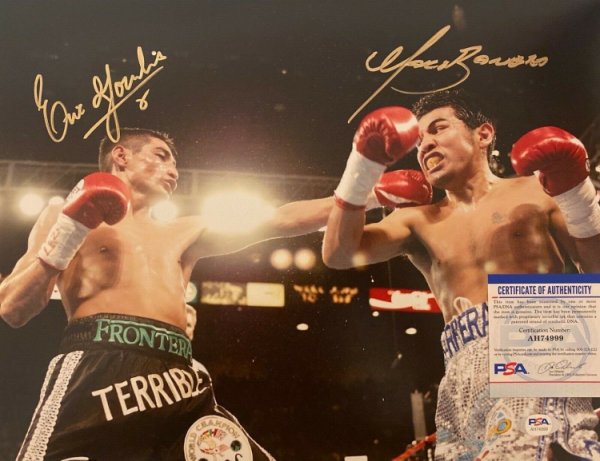 Boxing Autograph Michael Gomez Signed 12x8 inch Colour Photograph JM365