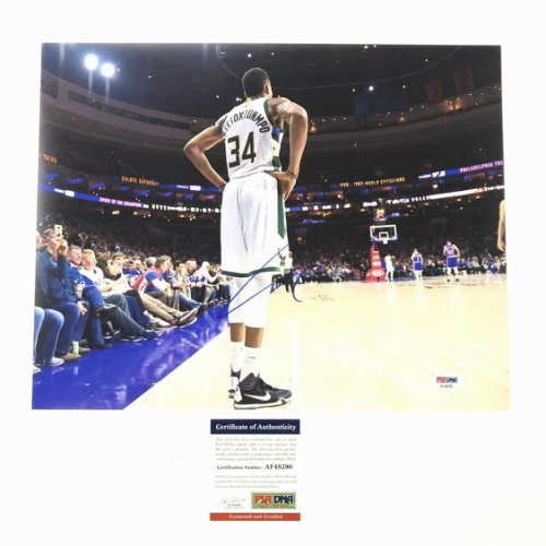 Giannis Antetokounmpo | Player