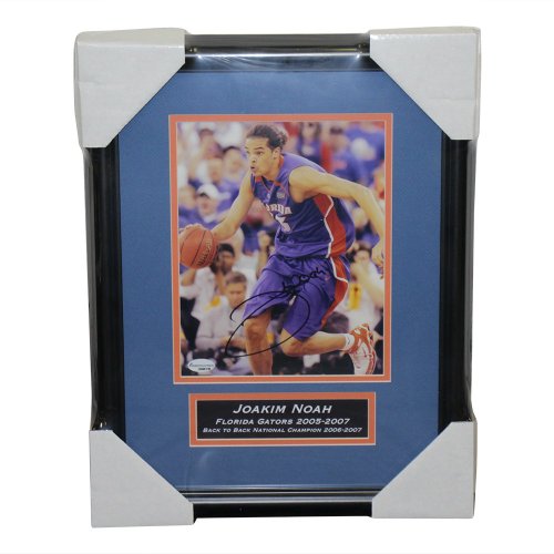 Joakim Noah - Florida Gators | Team