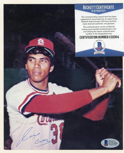 Jose Cruz, Jr. Autographed Signed ROAL Rawlings Official American League  Baseball very minor tone spot (New York Yankees)