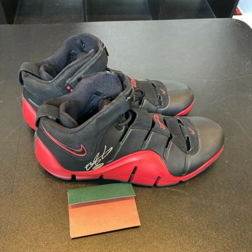 lebron james sneakers 2006