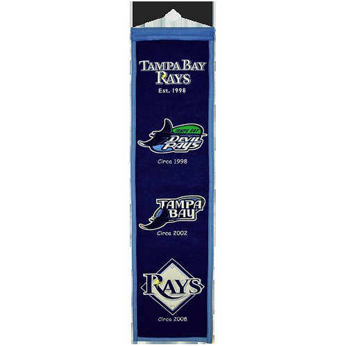 Tampa Bay Rays Logo Evolution Heritage Banner