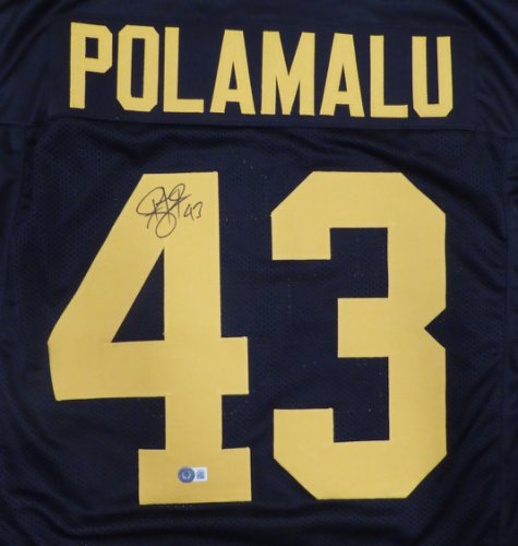Troy Polamalu Signed Framed Jersey Beckett Autographed Pittsburgh Stee