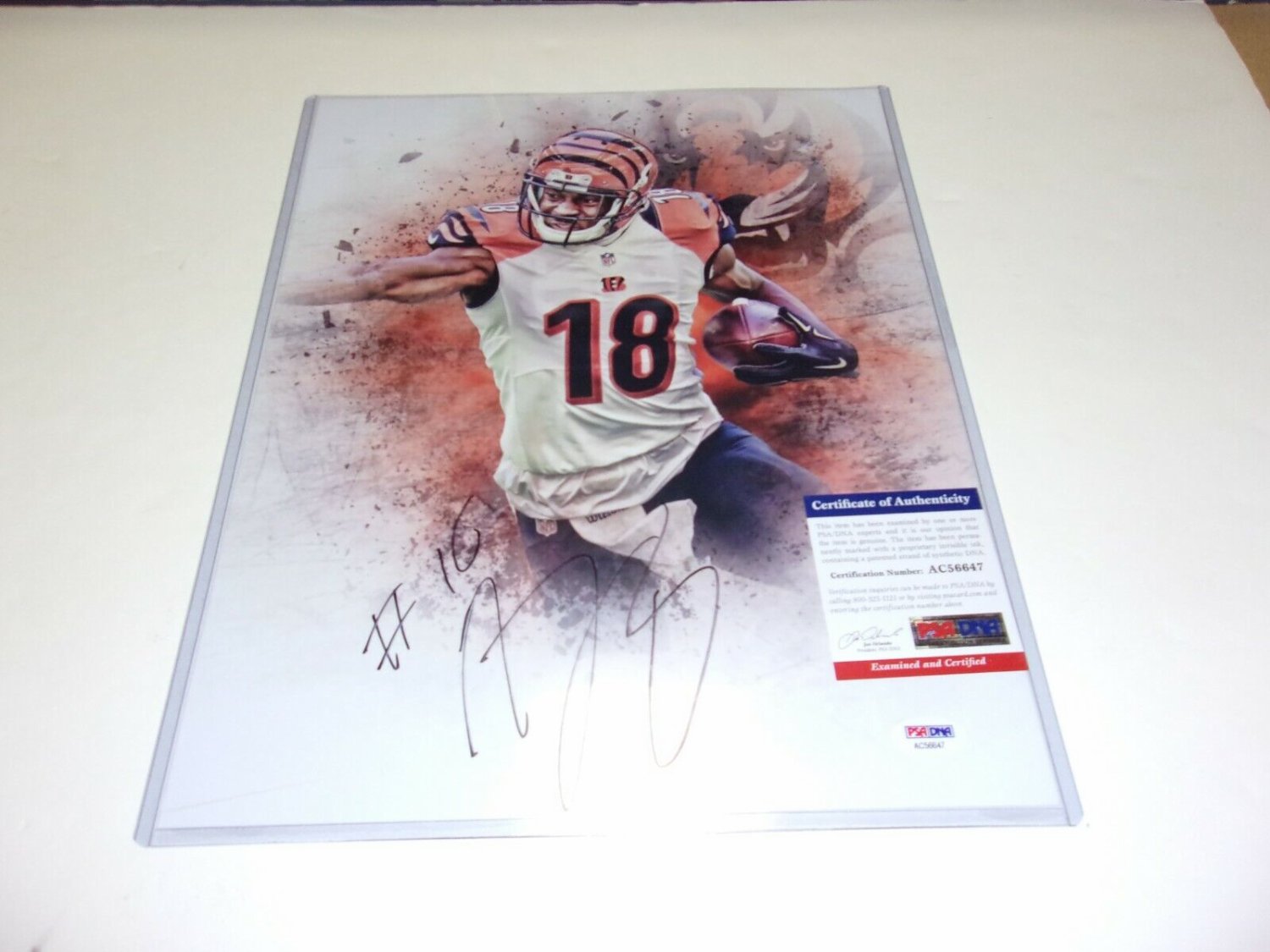 Cincinnati Bengals Memorabilia, Bengals Signed Collectibles, Cincinnati  Bengals Autographs