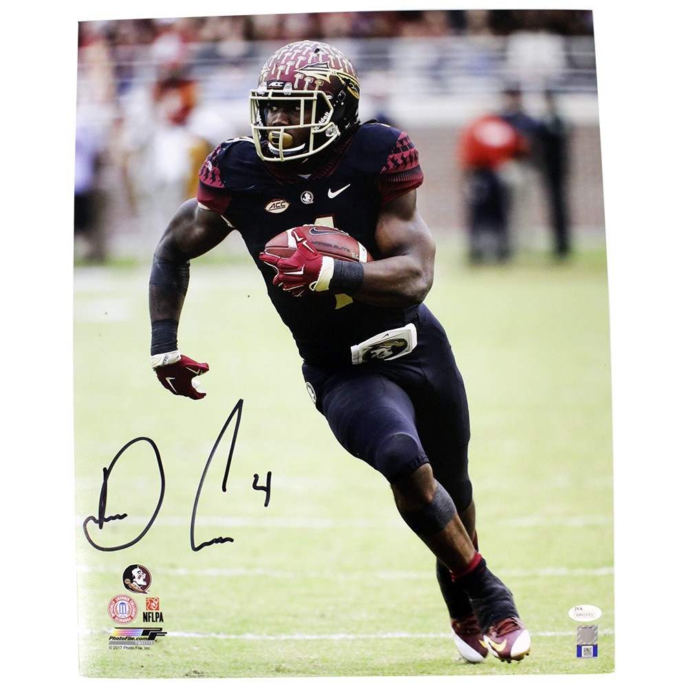 Dalvin Cook Black Downfield Florida State Seminoles Autographed Signed  16x20 - JSA - Certified Authentic