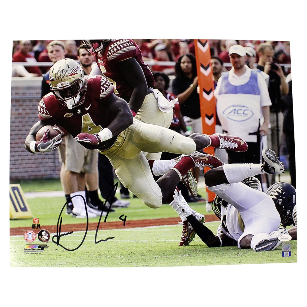 Dalvin Cook Falling Florida State Seminoles Autographed Signed 16x20 - JSA  - Certified Authentic