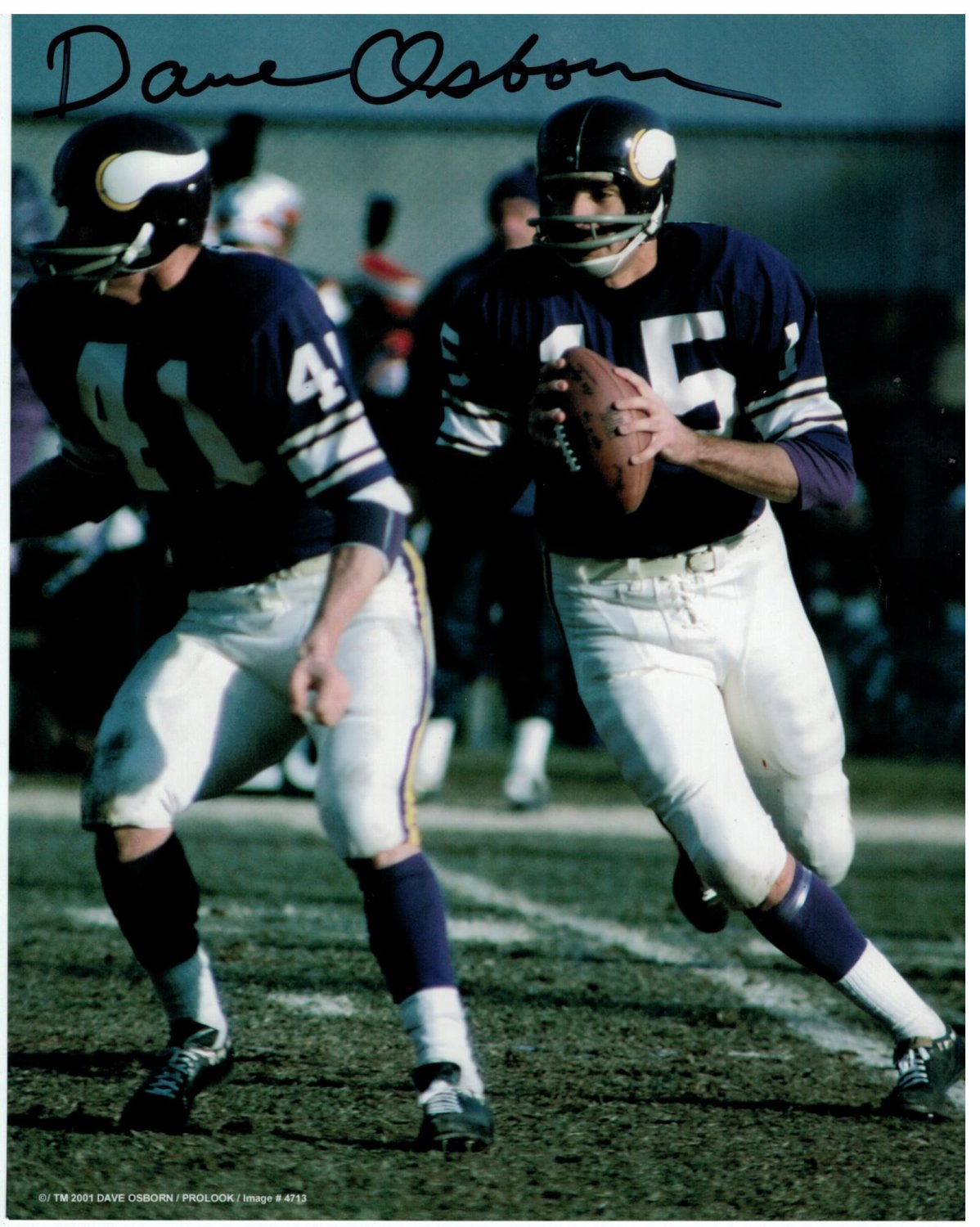 dave osborn vikings