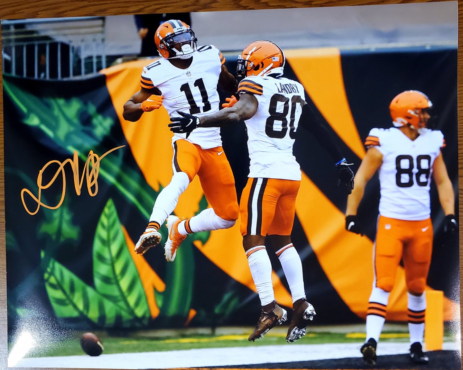 Donovan Peoples-Jones Cleveland Browns 16-2 16x20 Autographed