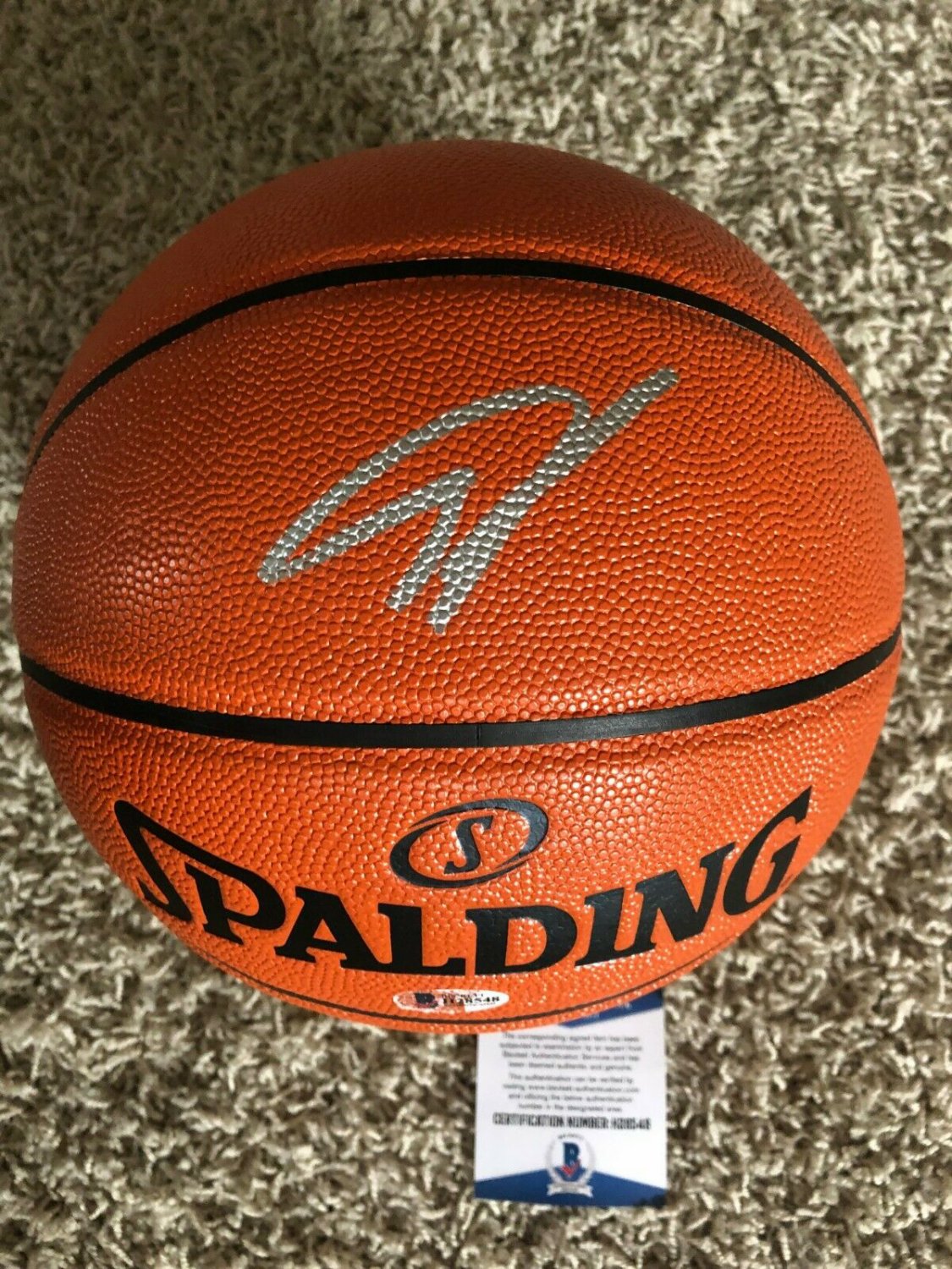 giannis signed basketball