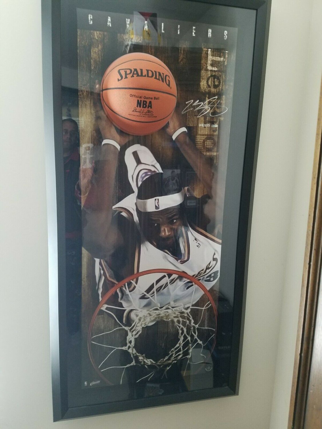 lebron james autographed ball