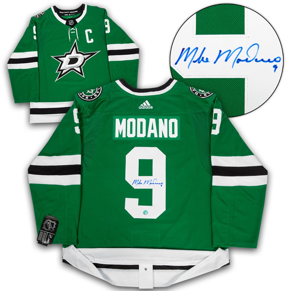 dallas stars pet jersey
